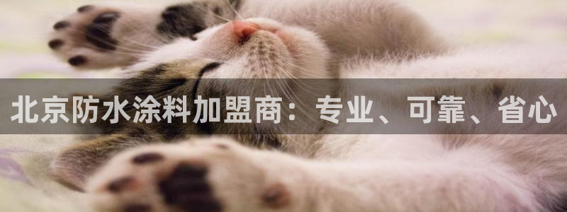 和记AG旗舰：北京防水涂料加盟商：专业、可靠、省心