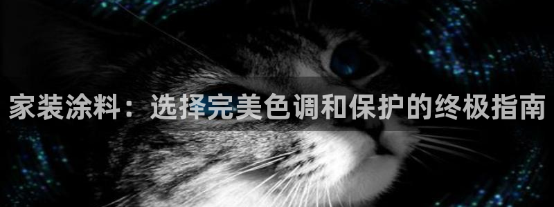 和记旗舰厅：家装涂料：选择完美色调和保护的终极指南