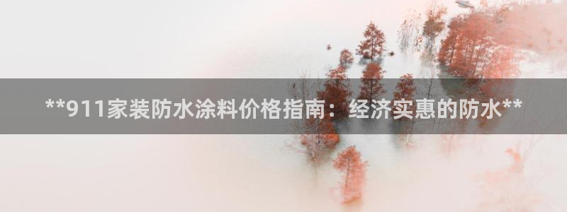 和记app官网：**911家装防水涂料价格指南：经济实惠的防水**