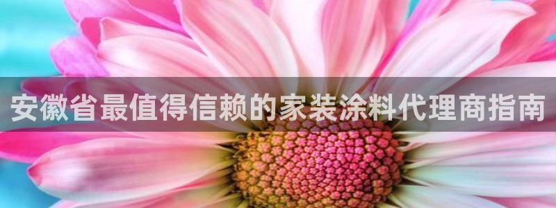 和记 首页：安徽省最值得信赖的家装涂料代理商指南