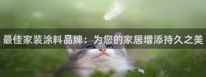 和记国际官网官网：最佳家装涂料品牌：为您的家居增添持久之美