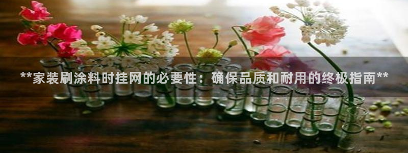和记app官网：**家装刷涂料时挂网的必要性：确保品质和耐用的终极指南**