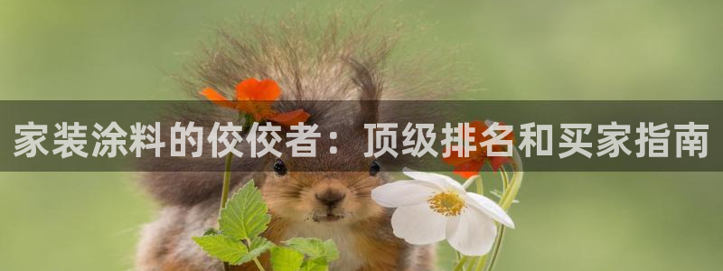 和记国际电讯市值：家装涂料的佼佼者：顶级排名和买家指南