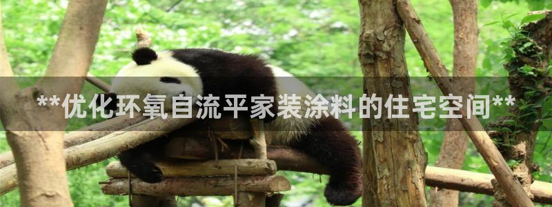 和记国际听：**优化环氧自流平家装涂料的住宅空间**