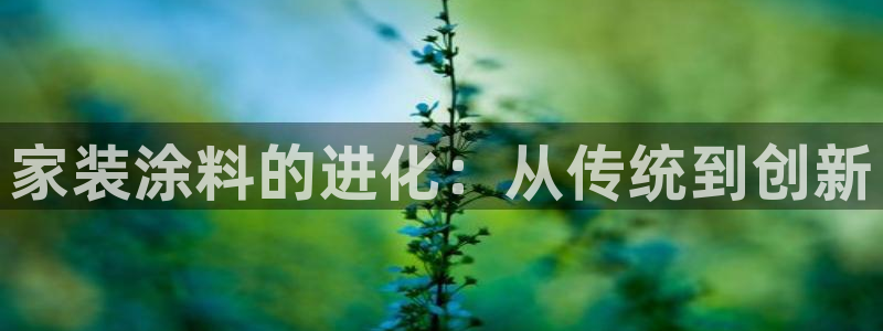 和记旗舰厅：家装涂料的进化：从传统到创新