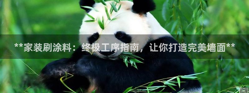 和记AG旗舰：**家装刷涂料：终极工序指南，让你打造完美墙面**