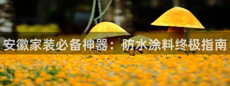 和记app官网