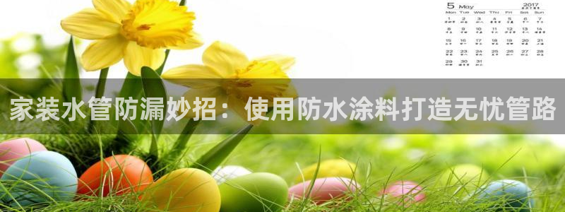 和记ag：家装水管防漏妙招：使用防水涂料打造无忧管路