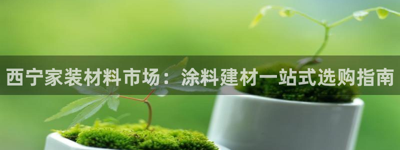 和记 首页：西宁家装材料市场：涂料建材一站式选购指南