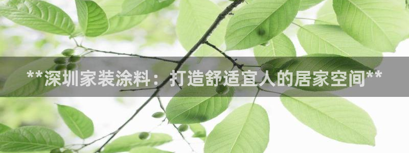 和记国际电讯市值：**深圳家装涂料：打造舒适宜人的居家空间**