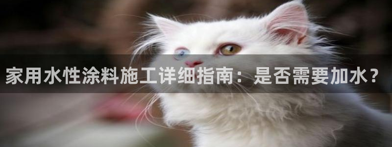 和记官网首页：家用水性涂料施工详细指南：是否需要加水？