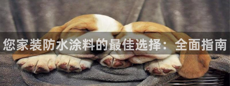 和记平台官网：您家装防水涂料的最佳选择：全面指南