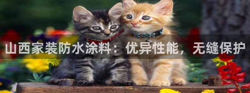 和记ag旗舰