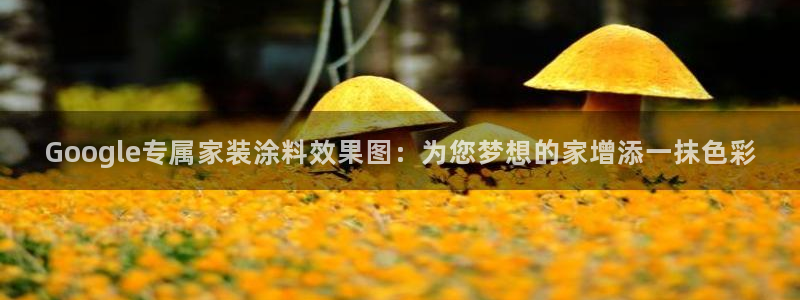 和记国际官网官网：Google专属家装涂料效果图：为您梦想的家增添一抹色彩