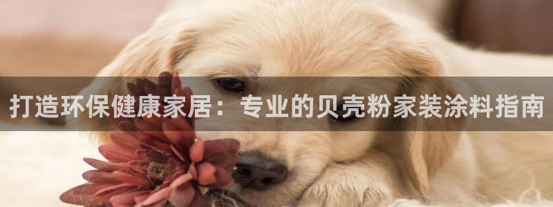 和记官网官方网站：打造环保健康家居：专业的贝壳粉家装涂料指南