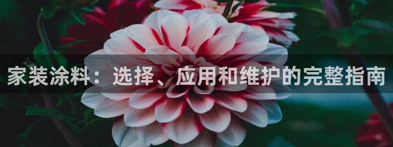 和记港口：家装涂料：选择、应用和维护的完整指南