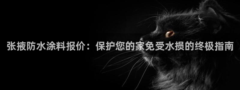 和记官方：张掖防水涂料报价：保护您的家免受水损的终极指南