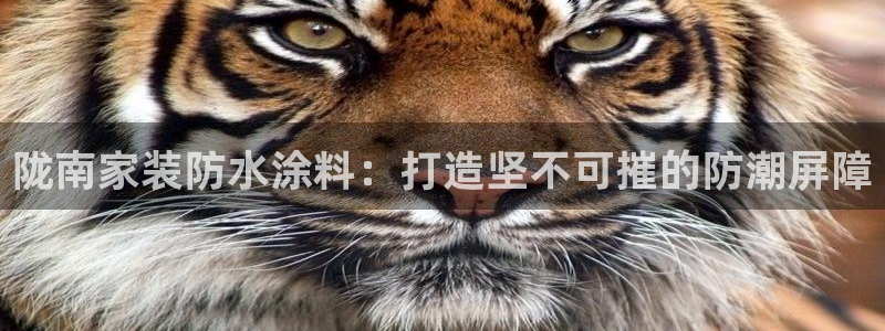 和记h88游戏：陇南家装防水涂料：打造坚不可摧的防潮屏障