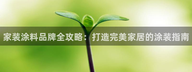 和记Ag：家装涂料品牌全攻略：打造完美家居的涂装指南