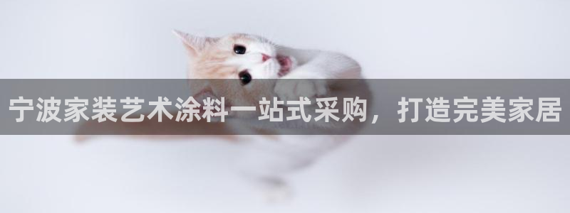 和记注册有什么送的：宁波家装艺术涂料一站式采购，打造完美家居