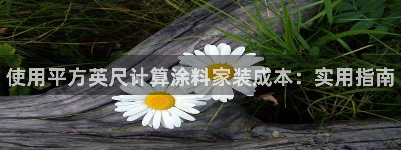 江苏和记餐饮有限公司：使用平方英尺计算涂料家装成本：实用指南