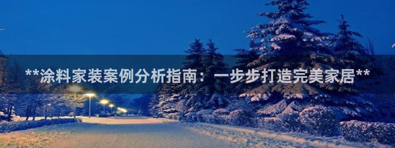 和记Ag：**涂料家装案例分析指南：一步步打造完美家居**