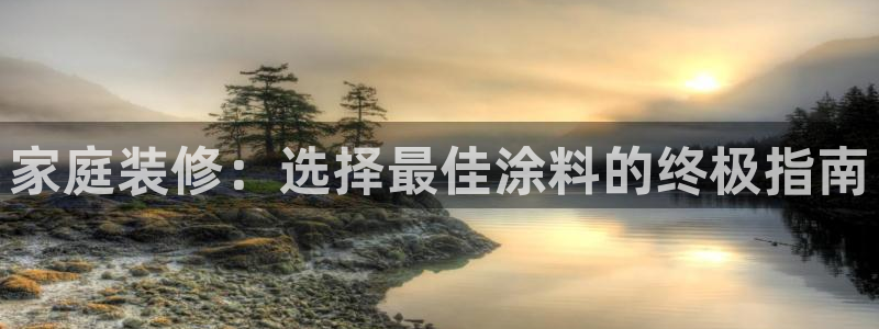 和记旗舰厅：家庭装修：选择最佳涂料的终极指南