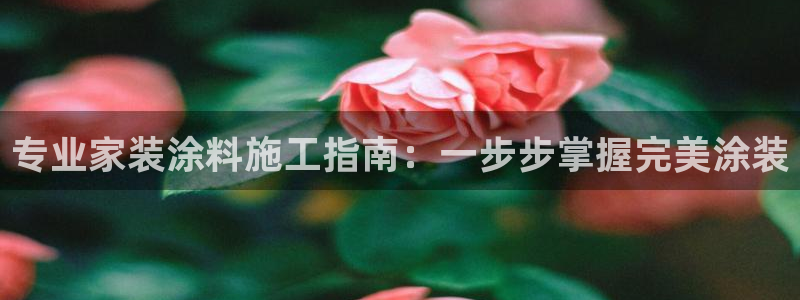 和记paging：专业家装涂料施工指南：一步步掌握完美涂装