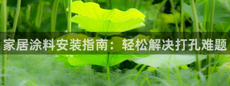 和记官网