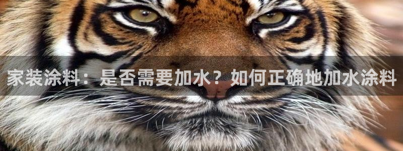和记 首页：家装涂料：是否需要加水？如何正确地加水涂料