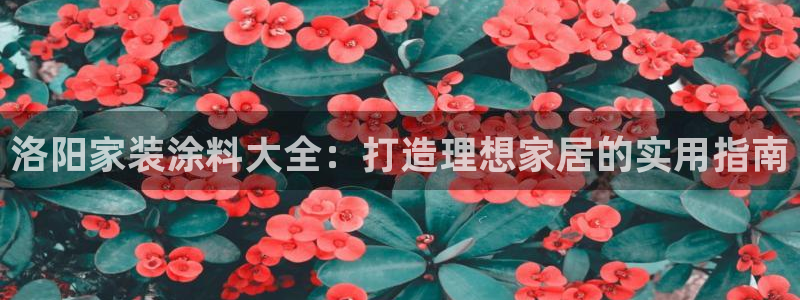 和记官方直营注册导航