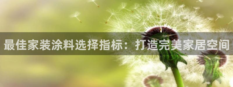 和记国际