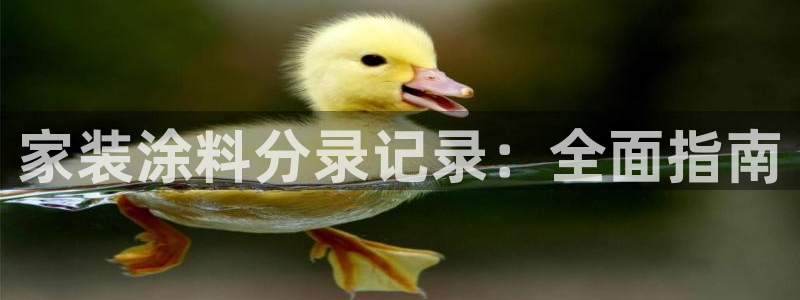 和记平台登陆：家装涂料分录记录：全面指南