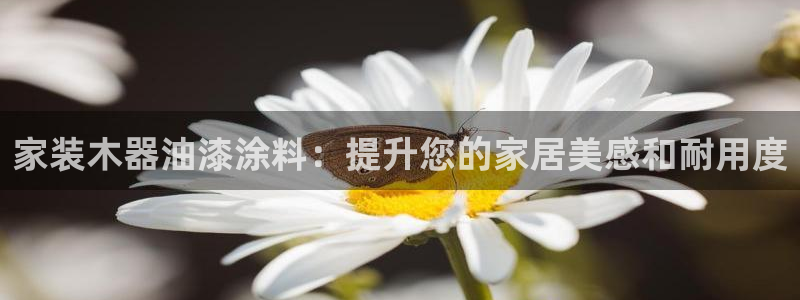 和记hj