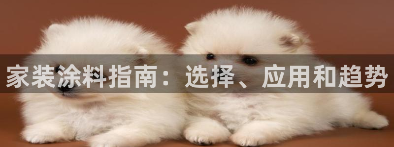 和记国际官网官网：家装涂料指南：选择、应用和趋势