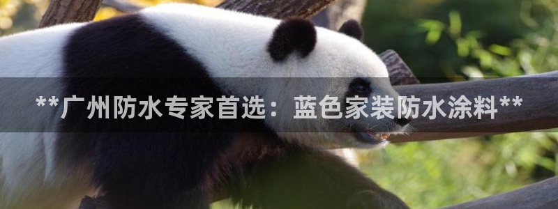 和记注册有什么送的
