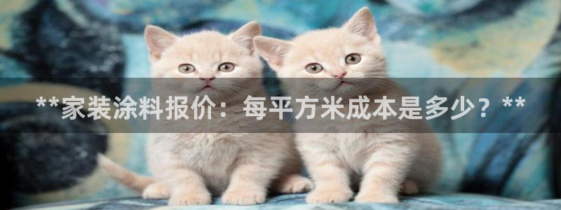 和记pc：**家装涂料报价：每平方米成本是多少？**