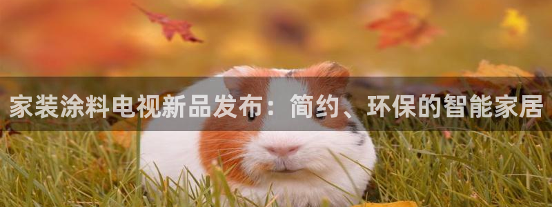 和记h88游戏