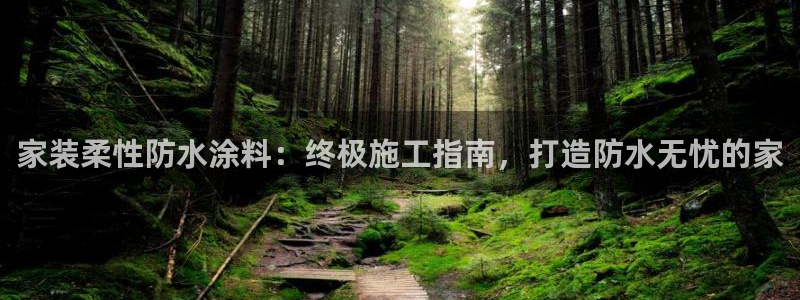 和记 官网：家装柔性防水涂料：终极施工指南，打造防水无忧的家