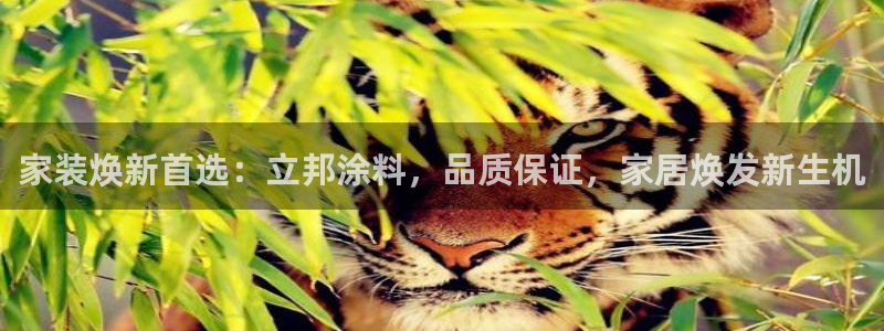 和记国际开户网站：家装焕新首选：立邦涂料，品质保证，家居焕发新生机
