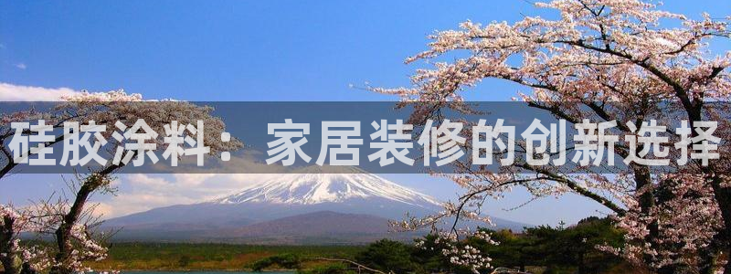 和记pc：硅胶涂料：家居装修的创新选择