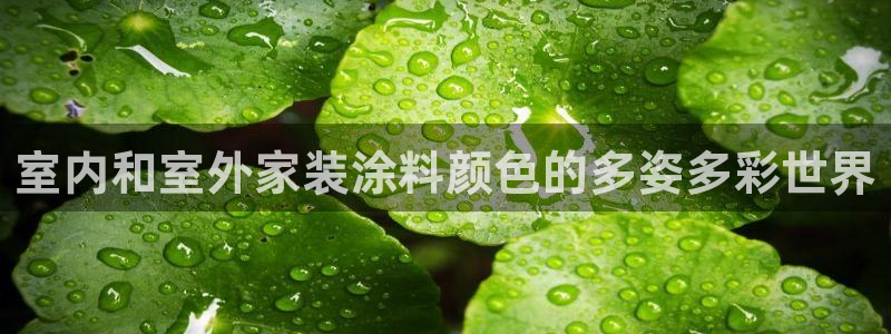 和记国际开户网站：室内和室外家装涂料颜色的多姿多彩世界