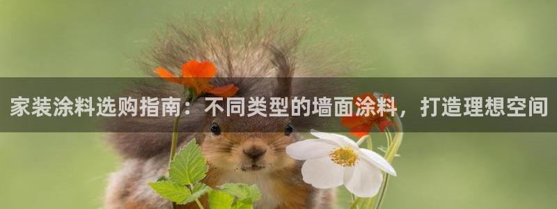 深圳和记科技有限公司：家装涂料选购指南：不同类型的墙面涂料，打造理想空间