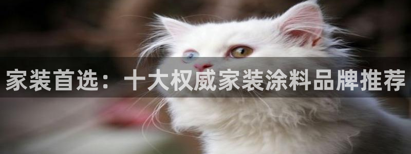 和记 首页