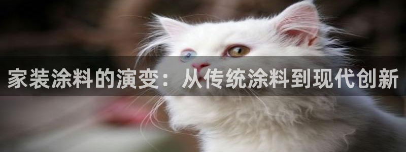 和记港口：家装涂料的演变：从传统涂料到现代创新