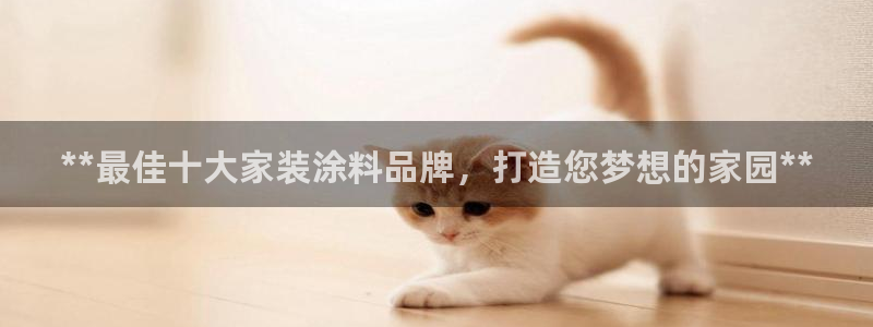 和记网页版：**最佳十大家装涂料品牌，打造您梦想的家园**