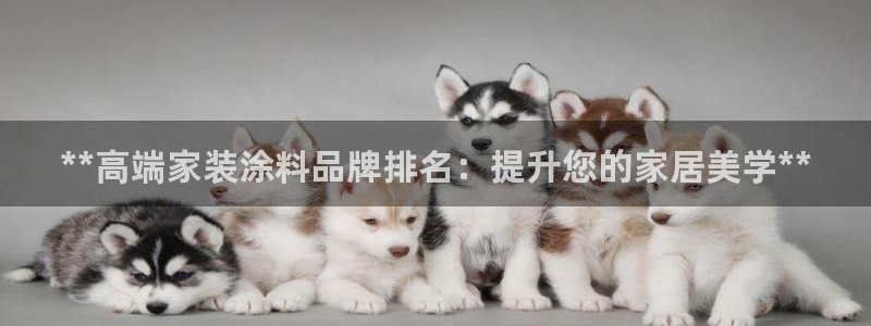 江苏和记数码科技有限公司：**高端家装涂料品牌排名：提升您的家居美学**