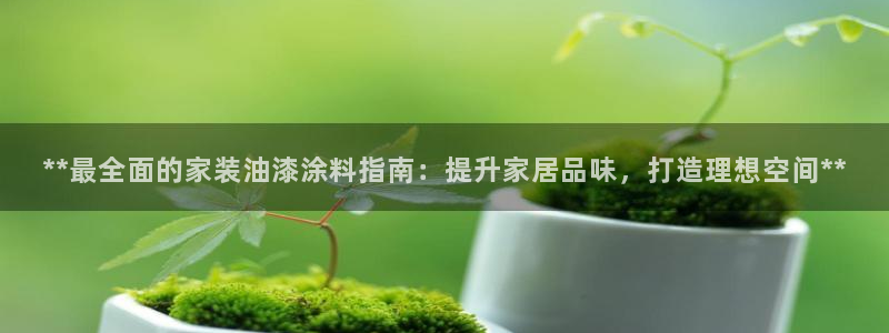 和记平台注册：**最全面的家装油漆涂料指南：提升家居品味，打造理想空间**