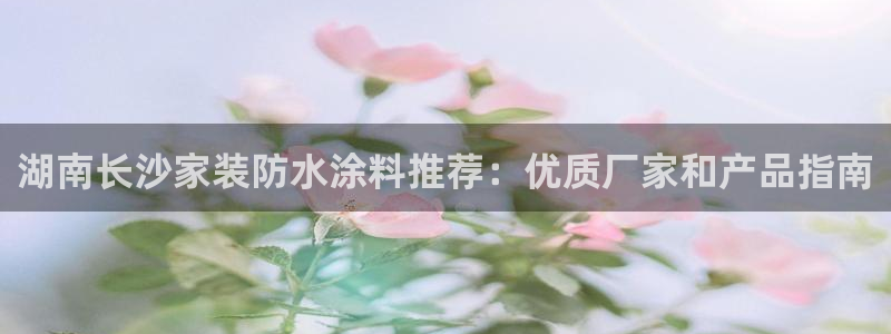 和记2017app：湖南长沙家装防水涂料推荐：优质厂家和产品指南