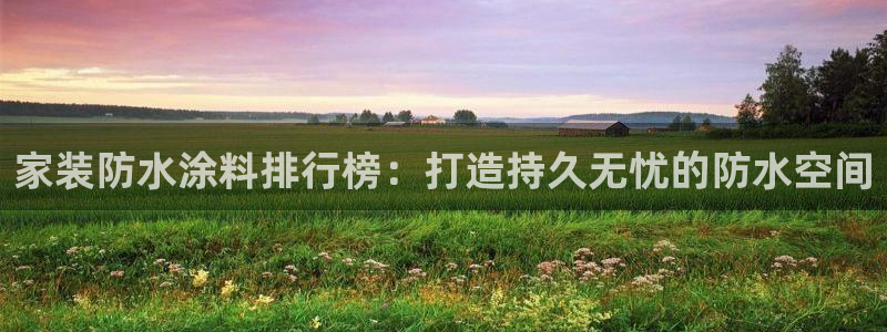 和记ag捕鱼害死多少人：家装防水涂料排行榜：打造持久无忧的防水空间